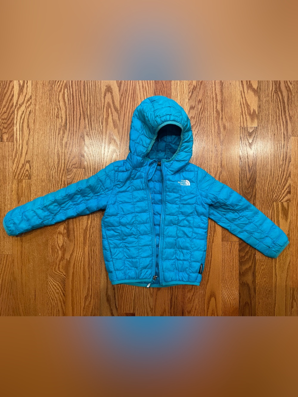The North Face Kids Blue Hooded Puffer Jacket